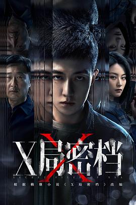 X局密档 海报 高清在线观看