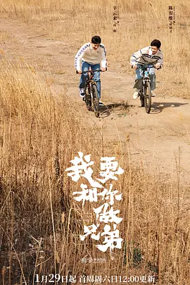 我要和你做兄弟 海报 高清在线观看