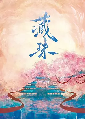 藏珠 海报 高清在线观看