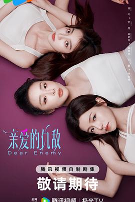亲爱的仇敌 海报 高清在线观看