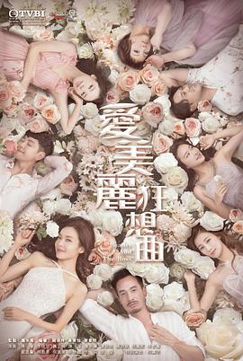 爱美丽狂想曲国语 海报 高清在线观看