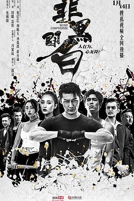 非黑即白 海报 高清在线观看