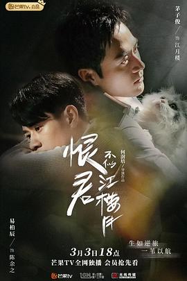 恨君不似江楼月 海报 高清在线观看