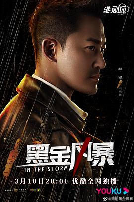 黑金风暴粤语 海报 高清在线观看