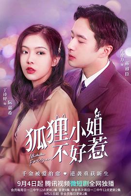 狐狸小姐不好惹 海报 高清在线观看