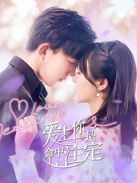 爱上你是命中注定 海报 高清在线观看