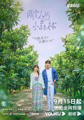 两个人的小森林 海报 高清在线观看