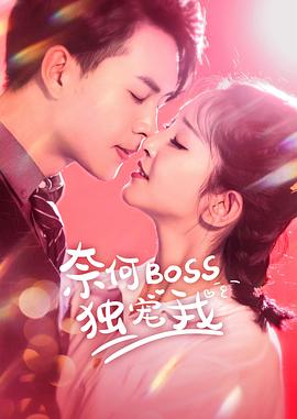 奈何Boss独宠我 海报 高清在线观看