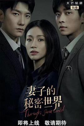 妻子的秘密世界 海报 高清在线观看
