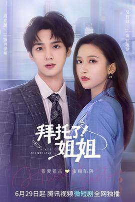 拜托了！姐姐 海报 高清在线观看