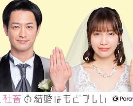 部长和社畜的结婚令人着急 特别篇 海报 高清在线观看