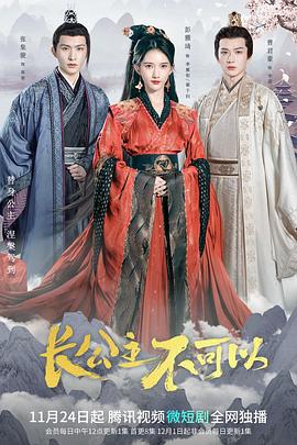 长公主不可以 海报 高清在线观看