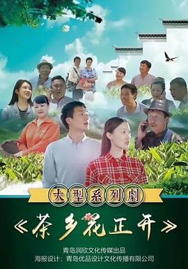 茶乡花正开 海报 高清在线观看