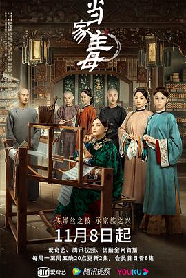 当家主母 海报 高清在线观看