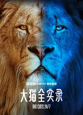 大猫全实录 海报 高清在线观看