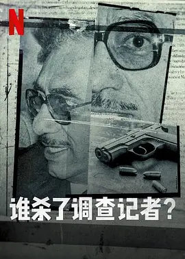 谁杀了调查记者 海报 高清在线观看