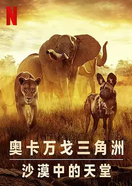 幸存的天堂 海报 高清在线观看