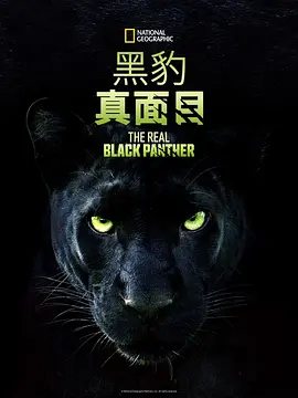 真黑豹无双 海报 高清在线观看