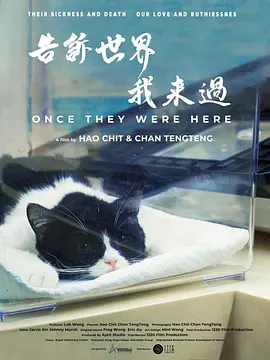 告诉世界我来过 海报 高清在线观看