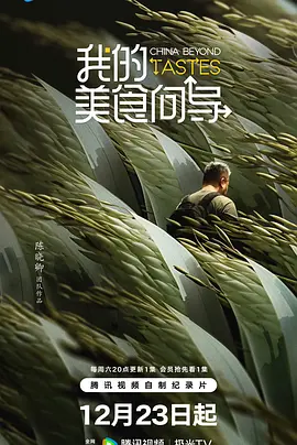 我的美食向导 海报 高清在线观看