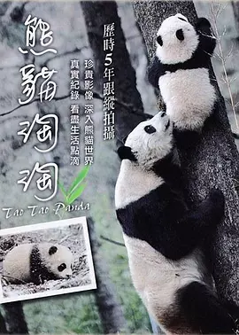 熊猫淘淘 海报 高清在线观看