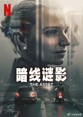暗线谜影 海报 高清在线观看