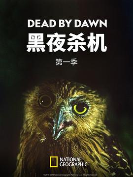 黑夜杀机第一季 海报 高清在线观看
