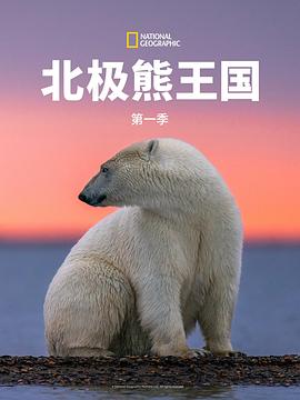 北极熊王国第一季 海报 高清在线观看
