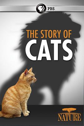 猫科动物的故事 海报 高清在线观看