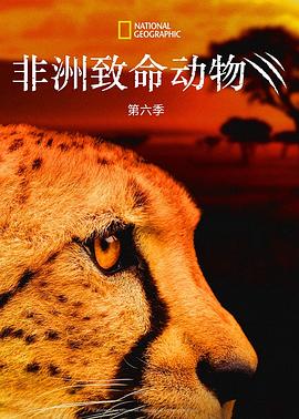 非洲致命动物第六季 海报 高清在线观看