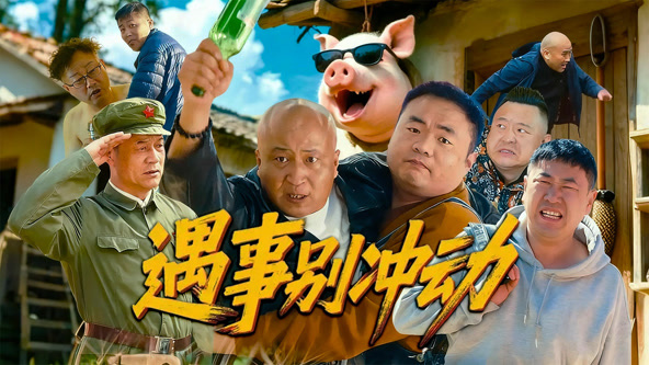 遇事别冲动 海报 高清在线观看