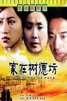 家在树德坊 海报 高清在线观看