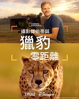 摄影师贝尔蒂与猎豹零距离 海报 高清在线观看