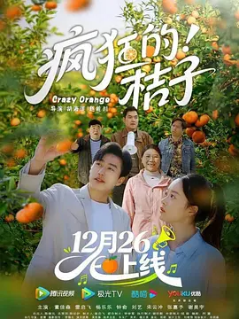 疯狂的桔子 海报 高清在线观看