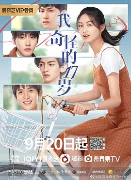 我奇怪的17岁³ 海报 高清在线观看
