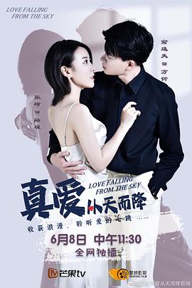 真爱从天而降 第一季 海报 高清在线观看