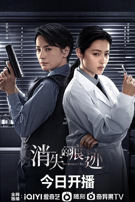 消失的痕迹 海报 高清在线观看