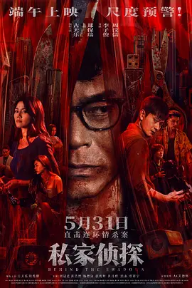 私家侦探 粤语 海报 高清在线观看