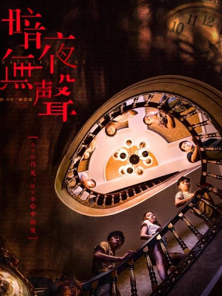 暗夜无声 海报 高清在线观看