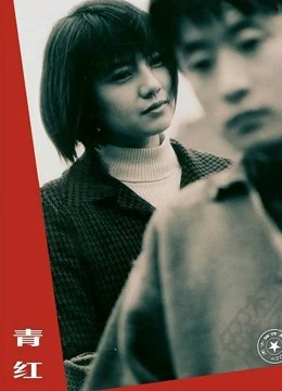 青红 海报 高清在线观看
