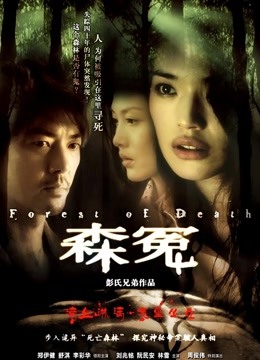 森冤 海报 高清在线观看