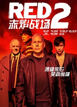 赤焰战场2 海报 高清在线观看