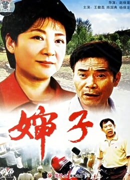 婶子 海报 高清在线观看