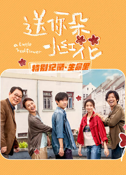 送你一朵小红花 · 特别纪录最终集 海报 高清在线观看