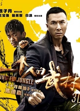 一个人的武林 海报 高清在线观看