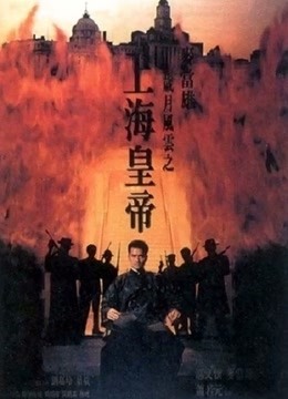 上海皇帝之岁月风云 海报 高清在线观看