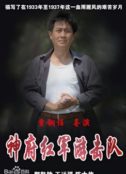 神府红军游击队 海报 高清在线观看