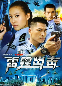 要案组雷霆出击 海报 高清在线观看