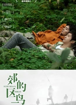 郊区的鸟 海报 高清在线观看