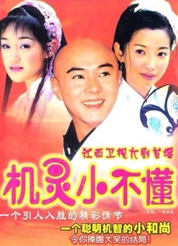 机灵小不懂 海报 高清在线观看